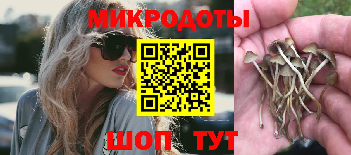 Свободный  купить  цена  Вход с VPN  Галлюциногенные грибы Psilocybe 